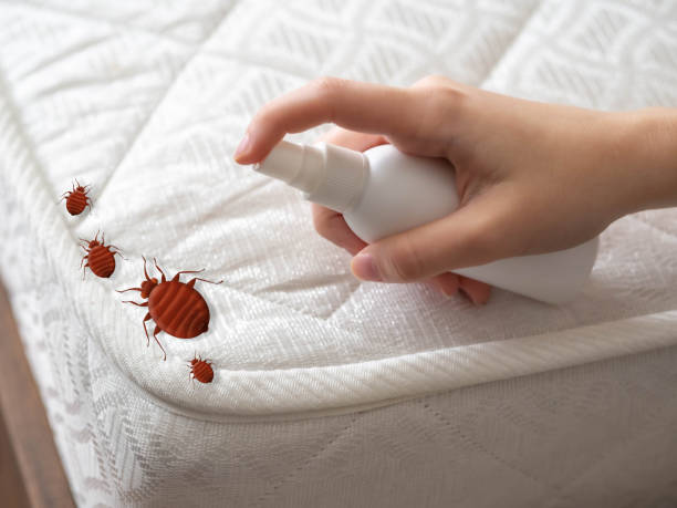 Best Pest Control Near Me  in Roxana, IL